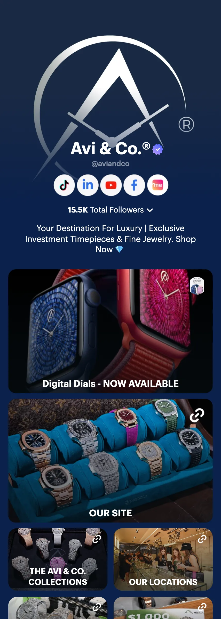 Profile screenshot aviandco