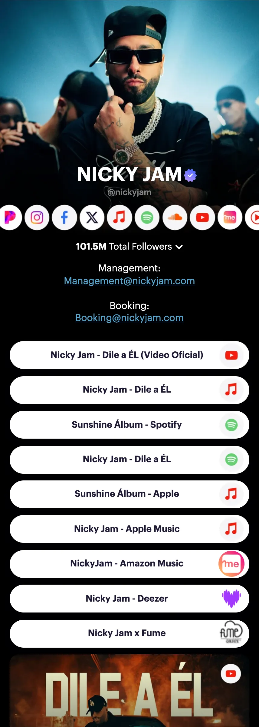 Profile screenshot nickyjam