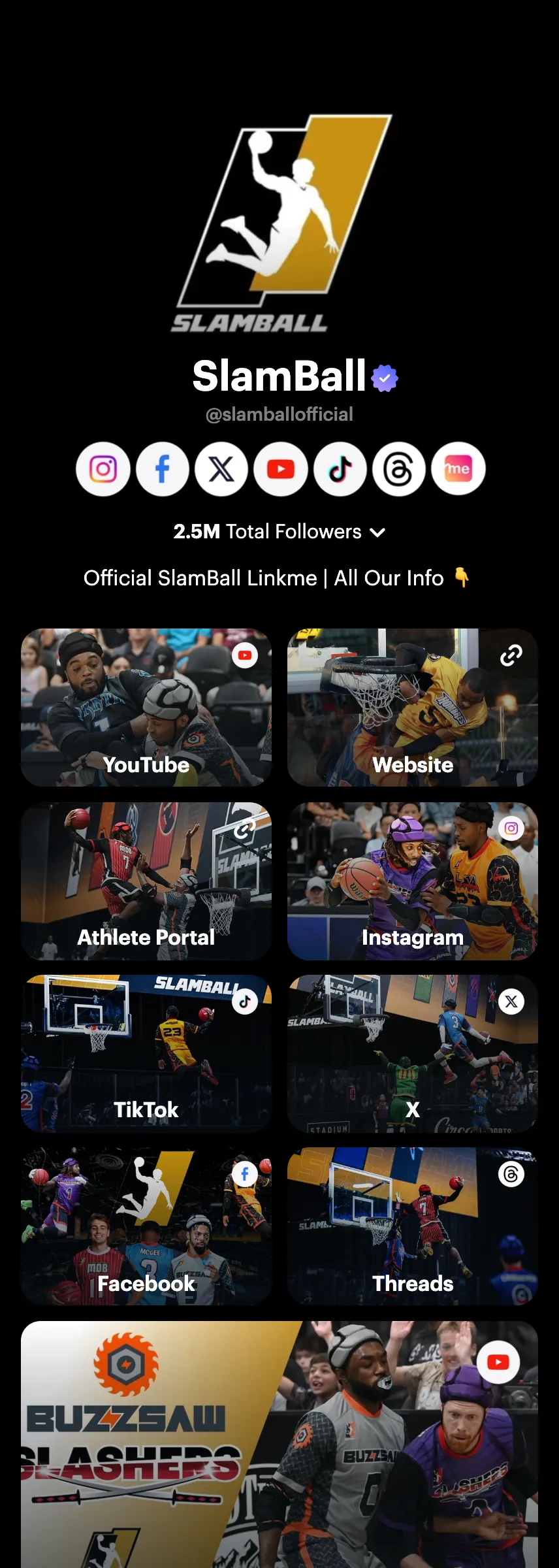 Profile screenshot slamballofficial